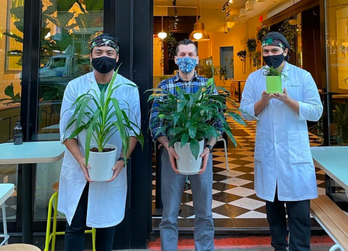 Plant Based News