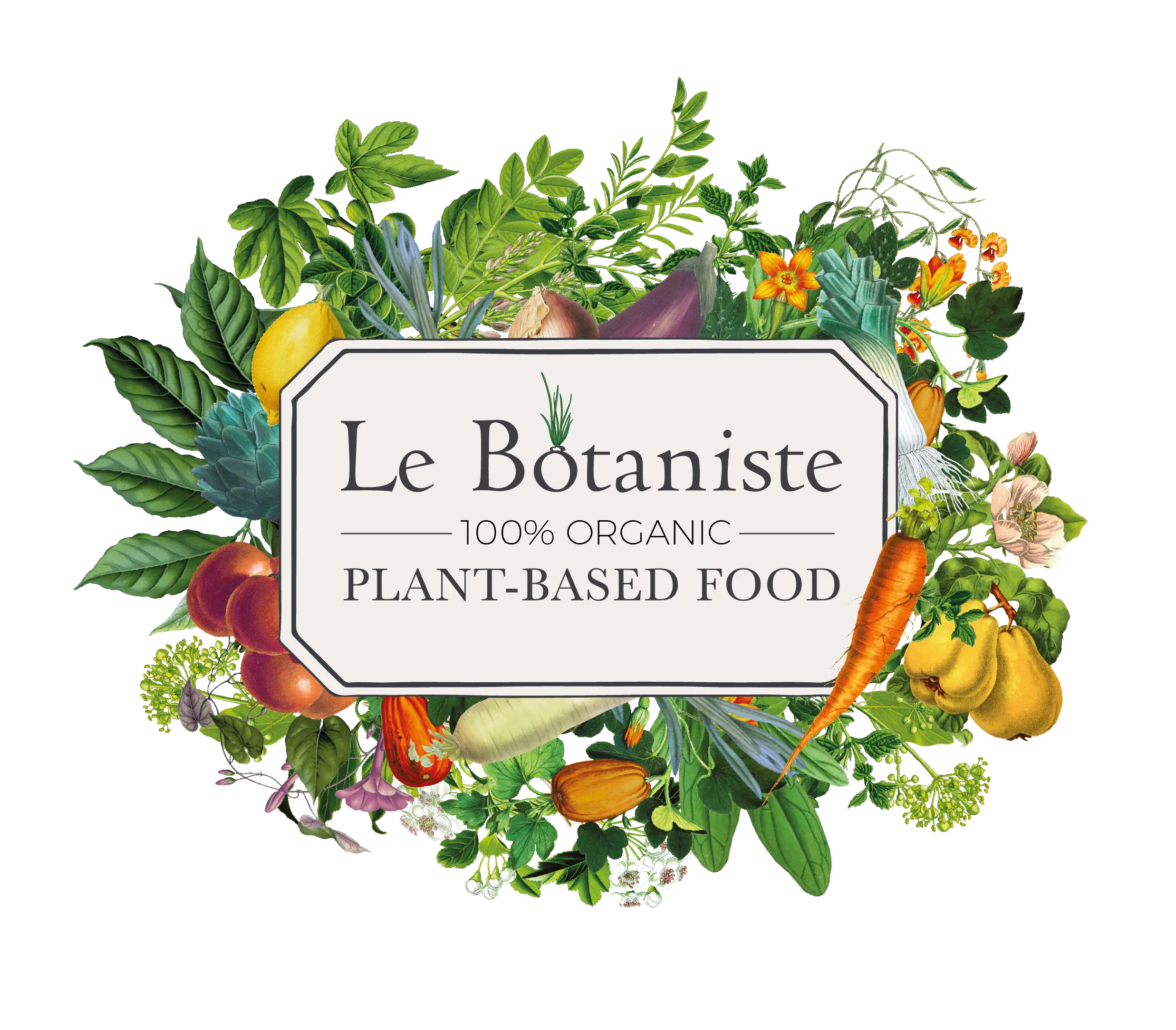 Le Botaniste | Food and Wine Bar | Plant-based Organic | NYC