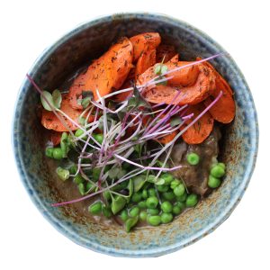 Mushroom Stroganoff Individual1000x1000