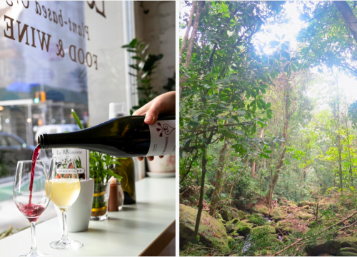 Capture decran 2021 06 15 a 11.14.49